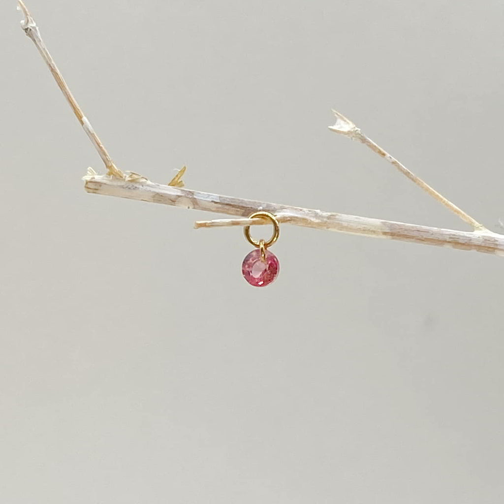 The Lorikeet – 18k Gelbgold