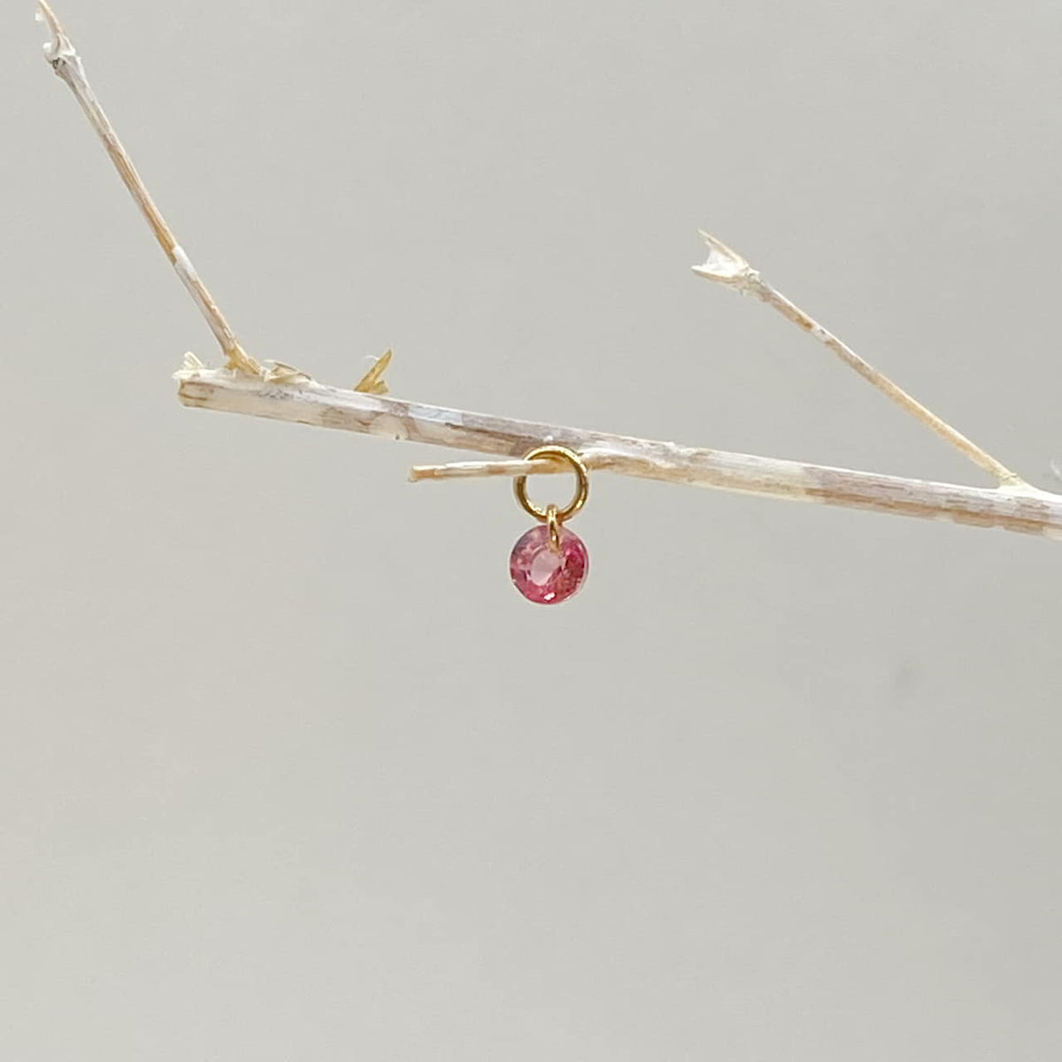 The Lorikeet – 18k Gelbgold
