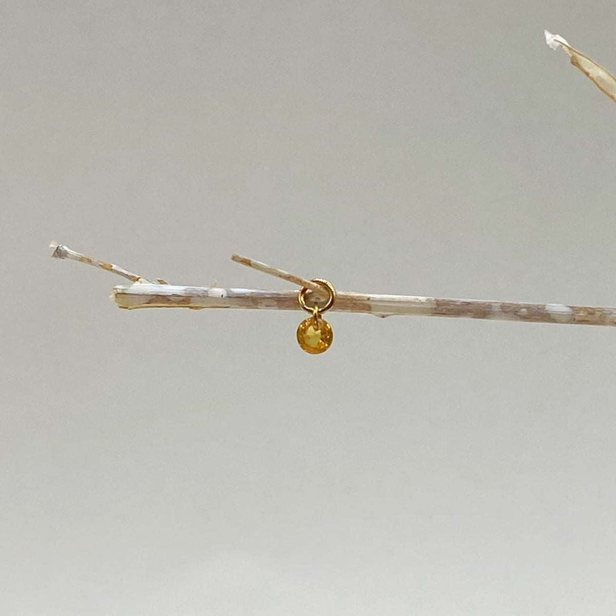 The Lorikeet – 18k Gelbgold
