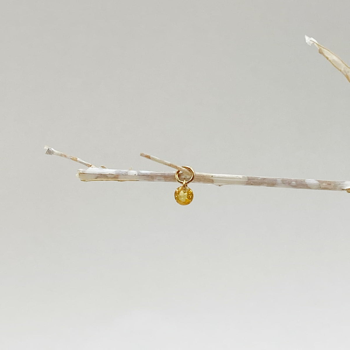 The Lorikeet – 18k Gelbgold